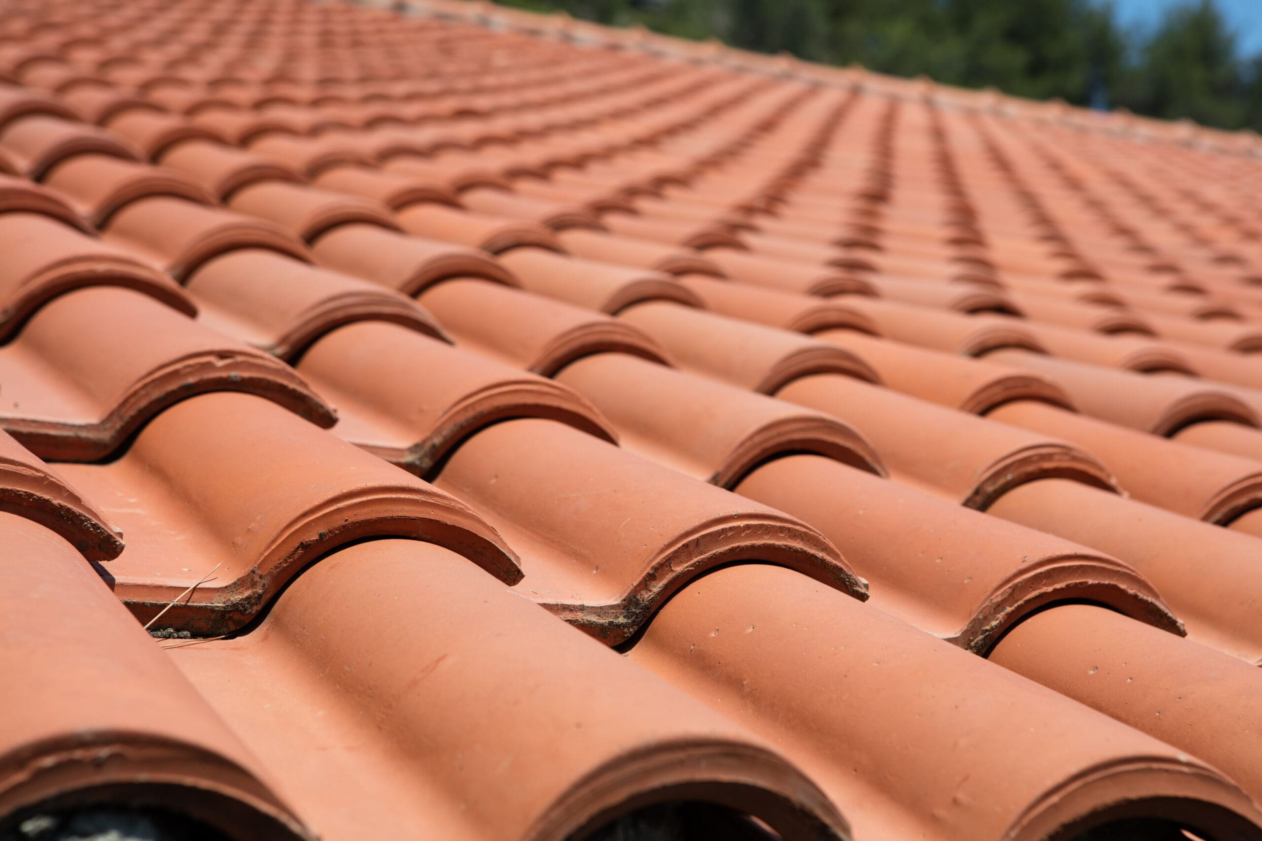 Close-up of terracotta roof tiles, aligned in neat rows and slightly curved, creating a wavy pattern. The image captures the texture and warmth of the tiles, with a blurred green background hinting at surrounding foliage.